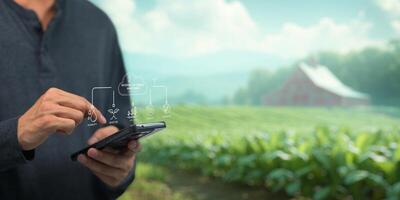 Smart Farm UI hologram system control, maintenance, displaying growth information Nutrients, fertilizers, water, insect pests of trees, plants, and vegetables, use technology in agriculture. photo