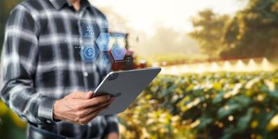 Smart Farm UI hologram system control, maintenance, displaying growth information Nutrients, fertilizers, water, insect pests of trees, plants, and vegetables, use technology in agriculture. photo