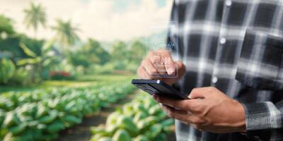 Smart Farm UI hologram system control, maintenance, displaying growth information Nutrients, fertilizers, water, insect pests of trees, plants, and vegetables, use technology in agriculture. photo