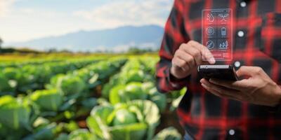Smart Farm UI hologram system control, maintenance, displaying growth information Nutrients, fertilizers, water, insect pests of trees, plants, and vegetables, use technology in agriculture. photo