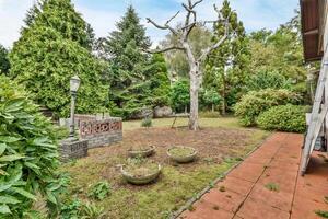 A yard with a tree and a bench in the middle photo