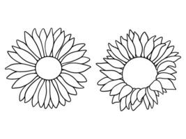 sunflower illustration set in line art style. Graphic monochrome drawing. Hand drawn floral outline sketch, engraved illustration. Design element for coloring book, tattoo, logo, icon, label. vector