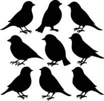 Isolated sparrow Silhouettes in Various Poses vector