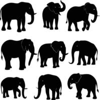 Isolated Elephant Silhouettes in Various Poses on White Background vector