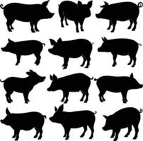 Isolated Pig Silhouettes in Various Poses on White Background vector