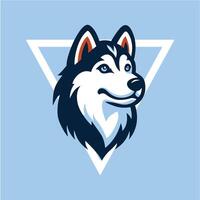 Head of Siberian Husky Dog in triangle and in front of blue background Can Use as Logo vector