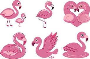 Cute Pink Flamingos in Various Poses vector