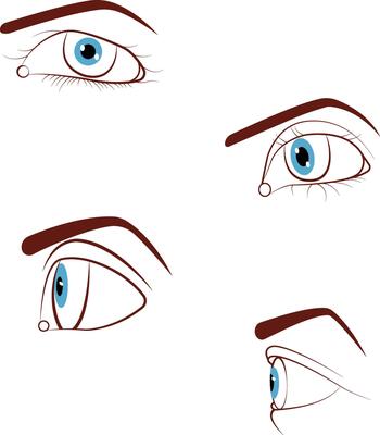 illustration of a eye