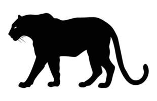 Leopard Predator Silhouette isolated on a white background vector