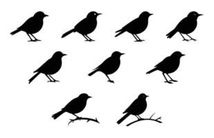 Nightingale Bird Silhouette Set vector