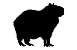 Capybara Black Silhouette isolated on a white background vector