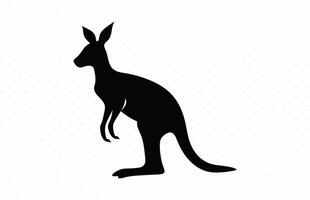 Kangaroo Silhouette isolated on a white background vector