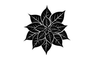 Poinsettia Leaf Silhouette isolated on a white background vector