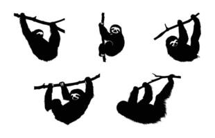 Sloth on branch Silhouette Bundle vector