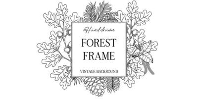 Hand drawn autumn botanical frame with falling leaves. illustration in sketch style isolated on white. Realistic forest design element. Space for text vector