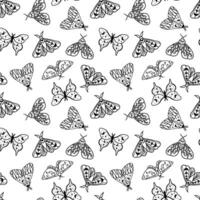 Seamless monochrome pattern with night moths with moon and crescent moon. Hand drawn black celestial doodle moth on white. vector