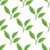 Hand-drawn seamless pattern of lemon leaves. Great for a poster, menu or label. vector