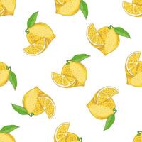 Hand-drawn seamless lemon pattern. A flowering plant with a single leaf. A slice of lemon and a lemon. Citrus. Lemon, lime. Great for a poster, menu or label. vector