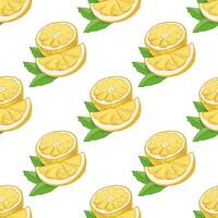 Seamless lemon pattern, hand-drawn. A flowering plant with two leaves. Half a lemon. Citrus. Orange, lime, grapefruit. vector