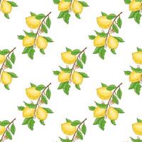 Seamless lemon pattern, hand-drawn. A branch with lemon fruits, leaves and flowers. Citrus. Great for a poster, menu or label. vector