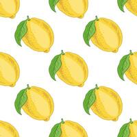 A hand-drawn sketch of a lemon. A flowering plant with a single leaf. Citrus. Lemon, lime. Great for a poster, menu or label. vector