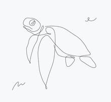 Sea turtle creature drawing in pen line style on white background vector