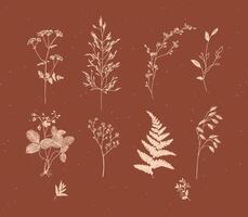 Set of leaves and branches floral style drawing in beige color on brown background vector