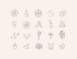 Set of modern natural signs drawing in minimalism line style to create your own design vector