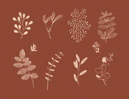 Set of graphic leaves and branches in floral style drawing in beige color on brown background vector