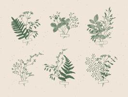 Branches and leaves are collected into a bouquet with sticker drawing in green color on beige background vector