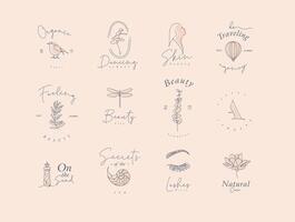Set of modern graphic design elements with letering in minimalism art line style drawing beige muffled tones. vector