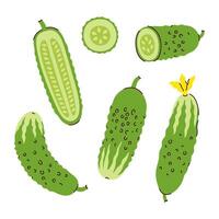 Set of cucumbers and their halves on a white background. graphics. vector