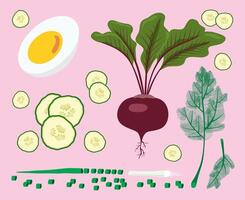Lithuanian cold beet soup. Pink soup ingredients. Egg, beetroot, cucumber, onion and dill. Isolated on light pink background. vector