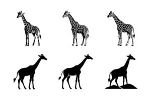 Collection of Giraffe logo set giraffe icons silhouettes isolated vector