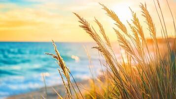 Magnificent Sunset Over Peaceful Beach with Swaying Grass and Dunes photo