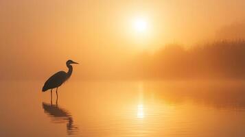Silhouetted Wading Bird in Misty,Golden Sunset Reflection photo