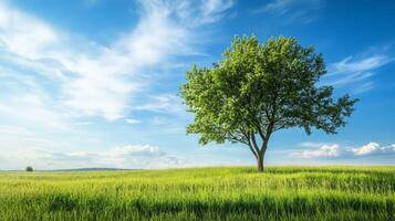 Lush Green Tree Stands Tall in Idyllic Meadow Under Bright Blue Sky with Fluffy Clouds photo