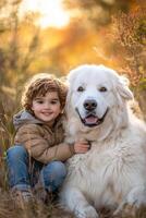 Young Child Embracing and Smiling with Beloved White Fluffy Dog in Golden Sunset Field photo