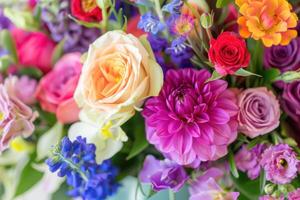 A bouquet of colorful flowers is shown in this image photo