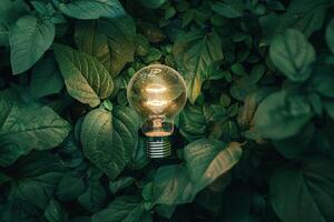 A light bulb is surrounded by green leaves photo