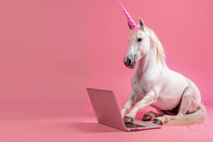 A unicorn is sitting on a pink background with a laptop photo