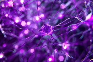 A close up of a purple neuron photo