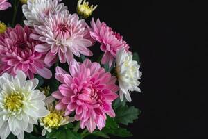 A bouquet of pink and white flowers on a black background photo