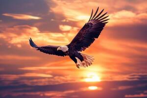 An eagle flying in the sky at sunset photo