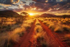 A red dirt road in the middle of the desert at sunset photo