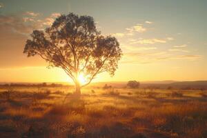 A tree in a field photo