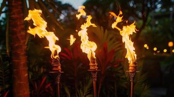 Three torches are lit up in the dark photo