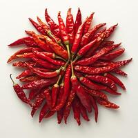 Dried chili peppers arranged a fan shape on a pure white background highlighting their intense heat photo