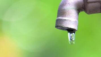 A Single Drop Speaks Volumes A lone water droplet clings to a weathered faucet against a vibrant green backdrop, hinting at scarcity and the preciousness of resources. video