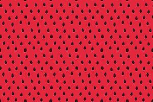 Red pattern seamless watermelon texture sweet vector